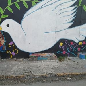 Meet your Posher, Yuliana